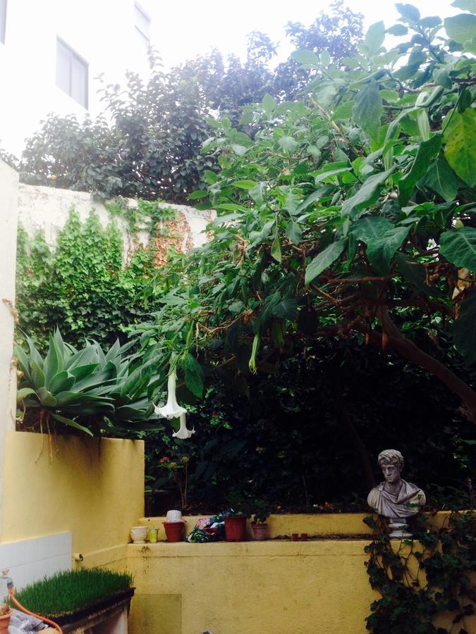 Casa Anchieta La Orotava Ngoại thất bức ảnh
